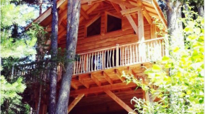 Cabanes des Pins Sylvestres